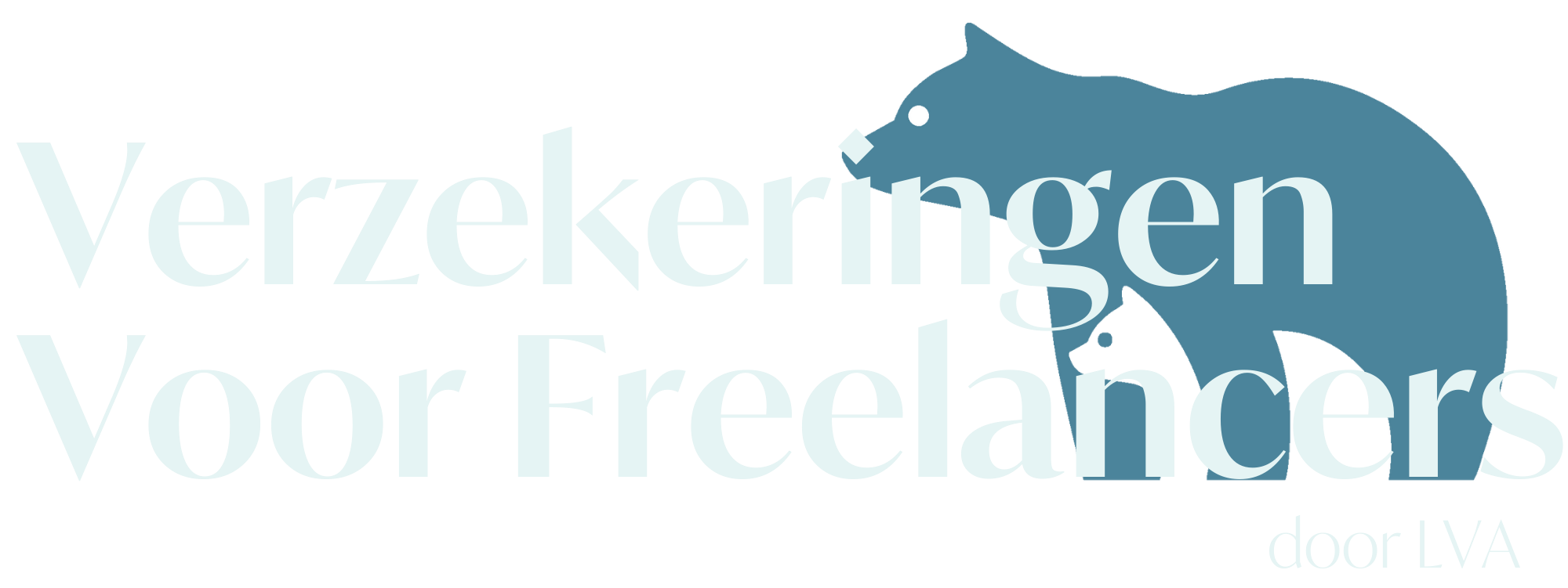 Verzekeringen Voor Freelancers
